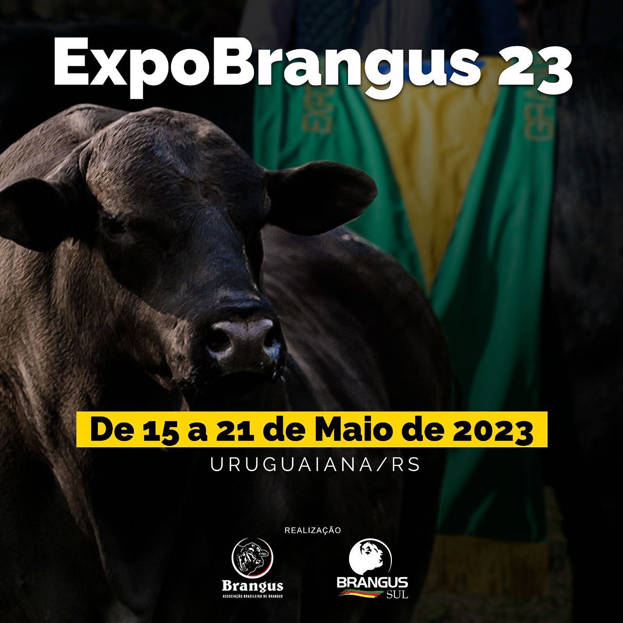 Remate Esquenta Expointer 2023 