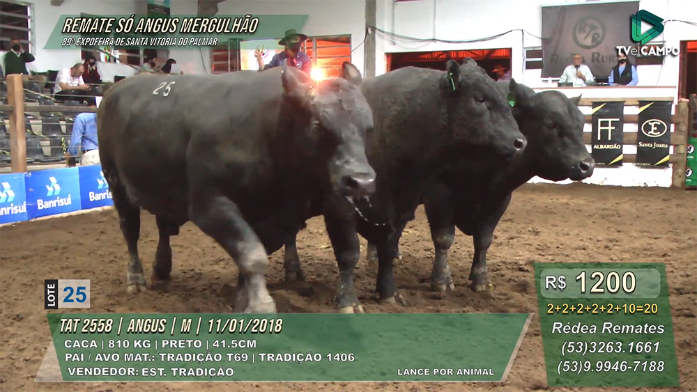 Remate Esquenta Expointer 2023 